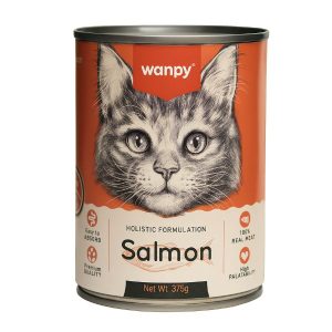 וונפי שימורים לחתולים פטה סלמון - 375 גרם
