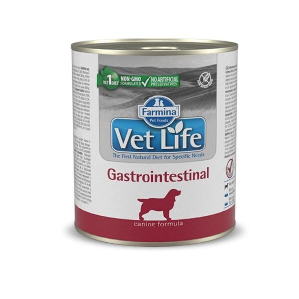 וט לייף שימור גסטרו כלב 300 גרם - Vet life gastrointestinal