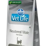 וט לייף חתול זכר מסורס 5 ק"ג-Vet Life Neutered Male