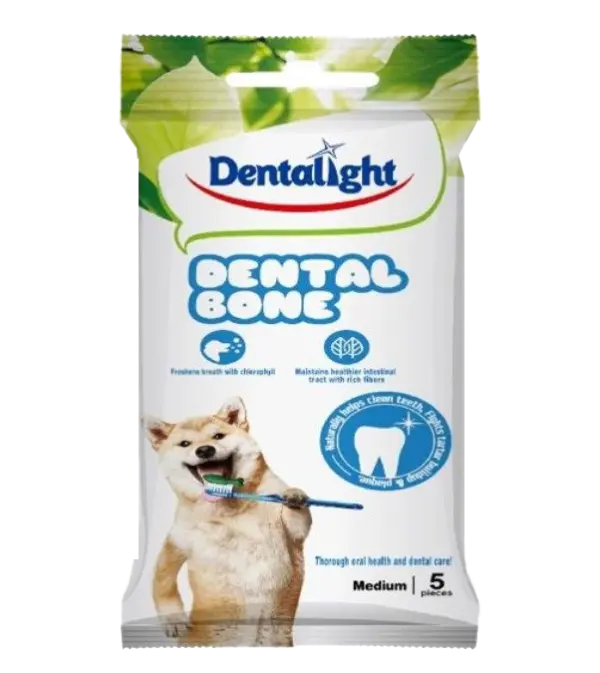 דנטל לייט עצמות דנטליות 5 חתיכות- Dentalight-Dental Bone