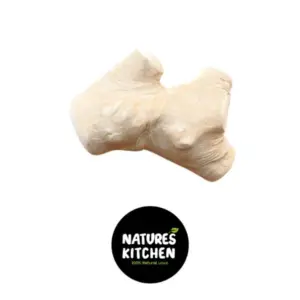 נייצר קיטשן Nature's Kitchen מקל לעיסה עץ קפה 100% טבעי Gorilla Chew - קטן