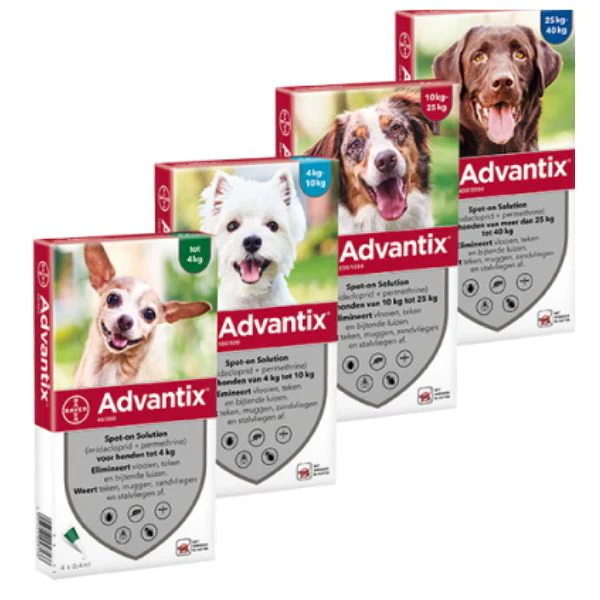 אדוונטיקס Advantix אמפולה לטיפול נגד פרעושים וקרציות לכלבים