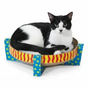 מגרדת צעצוע עגולה Pet Stages
